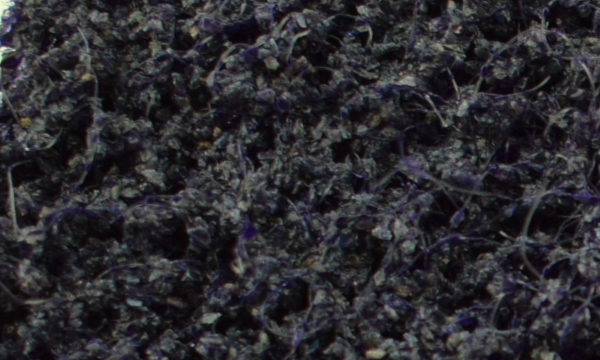 Extra Coаrse экстра грубое зерно черный или фиолетовый цвет зернистость по FEPA P40