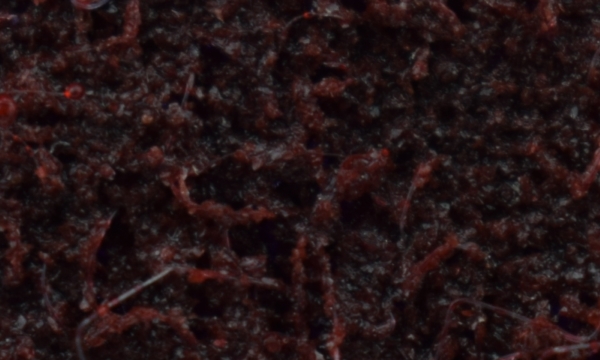 Medium средне зерно бордовый цвет зернистость по FEPA P100 - P150
