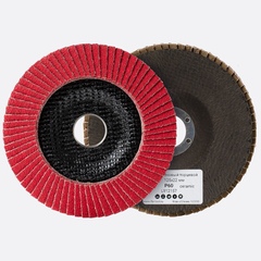 Круг лепестковый торцевой 125x22 мм V P60 FB PRO №5