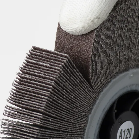 Лепестковый круг крупным планом P120