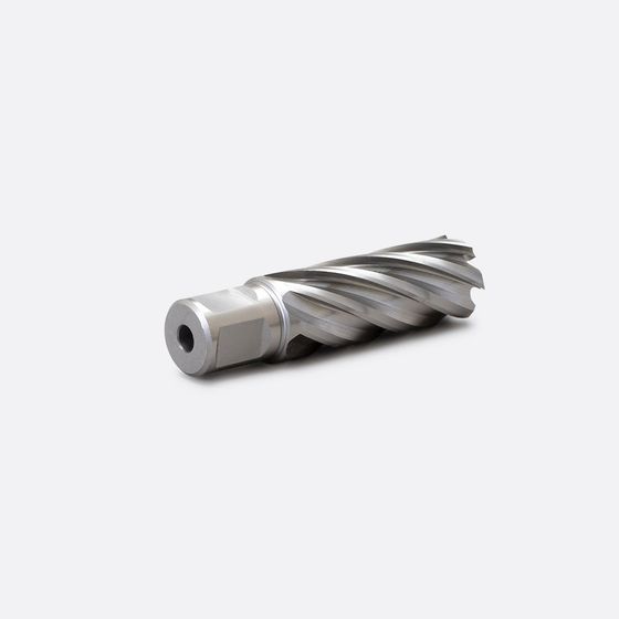 Корончатое сверло RODMIX HSS 32x55 мм Weldon-19 №1