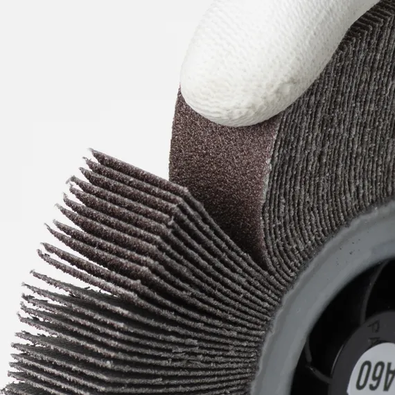 Лепестковый круг крупным планом p60