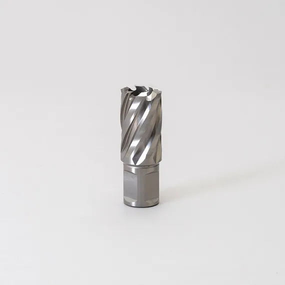 Корончатое сверло HSS-co Weldon 19