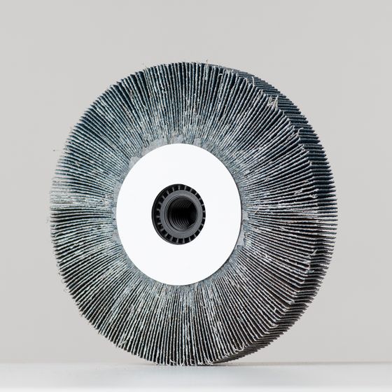 Круг лепестковый радиальный P80 125x20xМ14 ZK №4